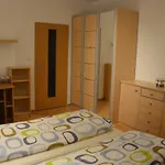 Zderadova Apartman Brünn (Brno)